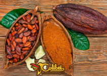 Celebre o dia do cacau com receitas incríveis com cacau em pó